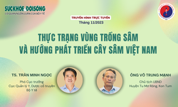 Truyền h&#236;nh trực tuyến: Thực trạng v&#249;ng trồng s&#226;m v&#224; hướng ph&#225;t triển c&#226;y s&#226;m Việt Nam