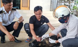 Tử vong nghi do ch&#243; cắn từ 3 th&#225;ng trước nhưng kh&#244;ng ti&#234;m ph&#242;ng dại