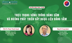 Truyền h&#236;nh trực tuyến: Thực trạng v&#249;ng trồng đảng s&#226;m v&#224; hướng ph&#225;t triển c&#226;y dược liệu đảng s&#226;m