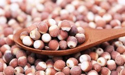 Thuốc nam trị chứng tiểu đ&#234;m nhiều lần
