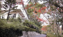 Bao giờ người dân lại được tham quan lầu Bảo Đại ở Khánh Hòa?