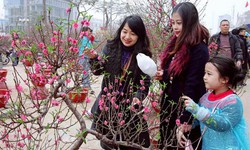 Thủ tướng chỉ thị bảo đảm Tết Nguy&#234;n đ&#225;n Gi&#225;p Th&#236;n 2024 vui tươi, l&#224;nh mạnh, tiết kiệm, an to&#224;n
