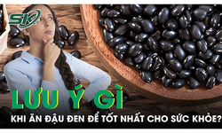 Cần lưu &#253; g&#236; khi ăn đậu đen để tốt nhất cho sức khỏe?