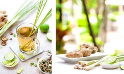 7 c&#244;ng thức tr&#224; thảo dược tăng cường miễn dịch, ph&#242;ng chống cảm lạnh v&#224; ho