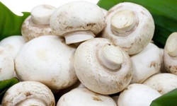 Cách dùng nấm mỡ kích thích tiêu hóa, trừ thấp, lợi niệu