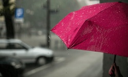 10 mẹo chăm s&#243;c sức khỏe trong thời tiết mưa ph&#249;n, nồm ẩm