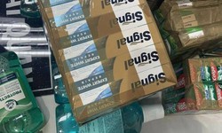 Đ&#236;nh chỉ 4 tiếp vi&#234;n Vietnam Airlines mang h&#224;nh l&#253; chứa thuốc lắc v&#224; ma t&#250;y về Việt Nam
