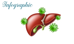 [Infographic] Những ai cần ti&#234;m ph&#242;ng vi&#234;m gan B?