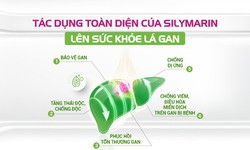 S&#225;ng chế kỹ thuật tạo ra Silymarin tan trong nước, tăng c&#244;ng dụng hỗ trợ thải độc gan