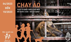 Phát động giải chạy trực tuyến nhằm chấm dứt tình trạng buôn bán thịt chó, mèo