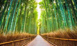 Thơ Nguyễn Xu&#226;n Tuấn: Con đường tương lai