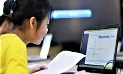 Từ 14/5, c&#225;c Sở GD&amp;ĐT kiểm tra th&#244;ng tin của th&#237; sinh đăng k&#253; dự thi tốt nghiệp THPT