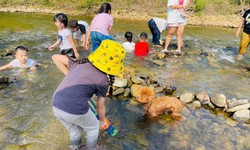 Trại h&#232;, c&#225;c kh&#243;a học ngắn hạn nở rộ, phụ huynh đau đầu lựa chọn