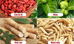 &quot;Tứ qu&#253; trong hỗ trợ người bệnh đ&#225;i th&#225;o đường&quot; từ thảo dược chuẩn h&#243;a