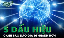 5 dấu hiệu cảnh b&#225;o n&#227;o gi&#224; đi nhanh hơn