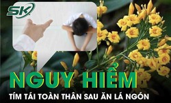 Bị bố mẹ mắng, nam thanh ni&#234;n v&#224;o rừng ăn l&#225; ng&#243;n