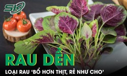 Loại rau &#39;bổ hơn thịt, rẻ như cho&#39; được mệnh danh l&#224; &#39;thần dược&#39;