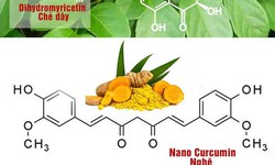 Giải ph&#225;p hỗ trợ giảm triệu chứng vi&#234;m đại tr&#224;ng, rối loạn ti&#234;u h&#243;a