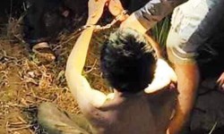 Bắt được nghi phạm s&#225;t hại 3 người phụ nữ ở Kh&#225;nh H&#242;a