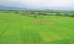 Hồi sinh những v&#249;ng đất kh&#244; kh&#225;t ở Ninh Thuận