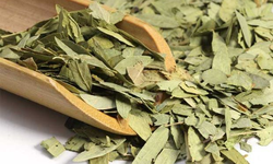 D&#249;ng phan tả diệp chữa t&#225;o b&#243;n cần lưu &#253; g&#236;?