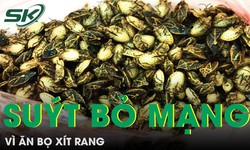 Ngộ độc nặng, su&#253;t bỏ mạng v&#236; ăn bọ x&#237;t rang