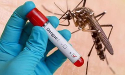 Sốt xuất huyết dengue 2023 đang l&#224; g&#225;nh nặng to&#224;n cầu