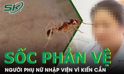 Nhập viện cấp cứu sau khi bị kiến đốt do sốc phản vệ