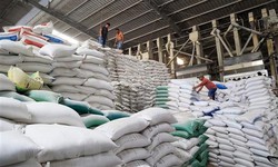 Gi&#225; gạo Việt Nam, Th&#225;i Lan tăng mạnh sau lệnh cấm xuất khẩu của Ấn Độ