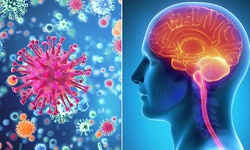 B&#233; 20 ng&#224;y tuổi đ&#227; mắc vi&#234;m m&#224;ng n&#227;o mủ, dấu hiệu ph&#225;t hiện sớm bệnh n&#224;y