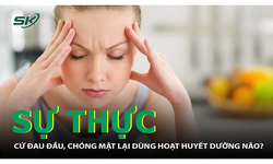 Sự thực cứ đau đầu, ch&#243;ng mặt lại d&#249;ng hoạt huyết dưỡng n&#227;o