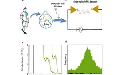 Chỉ dấu sinh học ở cấp độ ph&#226;n tử RNA gi&#250;p ph&#225;t hiện sớm nhiều loại ung thư