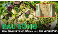 Rau sống: M&#243;n ăn quen thuộc tiềm ẩn hậu quả kh&#244;n lường