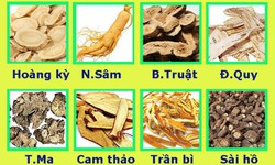 B&#224;i thuốc trị chứng tho&#225;t vị