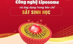 C&#244;ng nghệ liposome v&#224; ứng dụng trong b&#224;o chế sắt sinh học