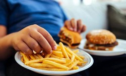 6 t&#225;c hại nguy hiểm của đồ ăn nhanh với sức khỏe
