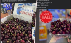 Gi&#225; cherry nhập khẩu Mỹ thấp kỷ lục