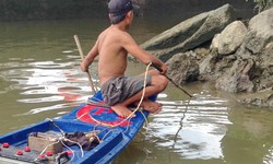 Tiếp tục đề xuất loại m&#225;y ch&#237;ch c&#225;, bẫy th&#250; khỏi s&#224;n thương mại điện tử