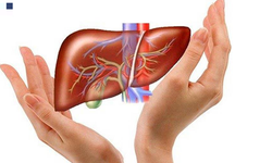 C&#225;ch thải độc gan từ thực phẩm sẵn c&#243; trong nh&#224; bếp