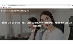 Người d&#226;n cần cảnh gi&#225;c với website giả mạo C&#244;ng ty Điện lực&#160;Kon Tum