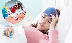 Sốt xuất huyết gia tăng, chuy&#234;n gia lưu &#253; c&#225;ch chăm s&#243;c người bệnh tốt nhất