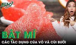 Các tác dụng của vỏ và cùi bưởi 