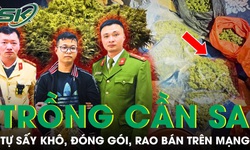 Liều lĩnh tự trồng cần sa tại nh&#224;, đ&#243;ng g&#243;i v&#224; đăng b&#225;n tr&#234;n mạng x&#227; hội