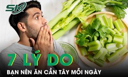 7 l&#253; do bạn n&#234;n ăn cần t&#226;y mỗi ng&#224;y