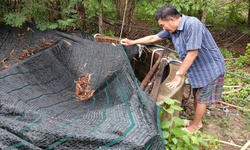 H&#224;ng chục hộ d&#226;n ở th&#224;nh phố Nha Trang m&#242;n mỏi mong nước sạch...