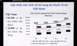 Những th&#244;ng tin quan ngại về t&#225;c hại của thuốc l&#225; mới từ c&#244;ng bố của Bộ Y tế