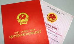 Những trường hợp sẽ bị thu hồi sổ đỏ từ năm 2025
