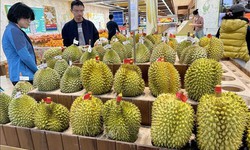 Khả năng cơn sốt sầu ri&#234;ng tại Trung Quốc tho&#225;i tr&#224;o