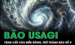 B&#227;o Usagi tăng cấp đi v&#224;o Biển Đ&#244;ng, trở th&#224;nh cơn b&#227;o số 9 trong h&#244;m nay