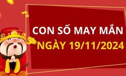 Con số may mắn ng&#224;y 19/11/2024 - số t&#224;i lộc 12 con gi&#225;p h&#244;m nay